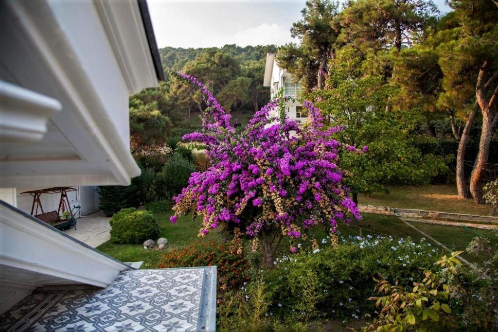 Triada Hotel Bueyuekada Adalar Esterno foto